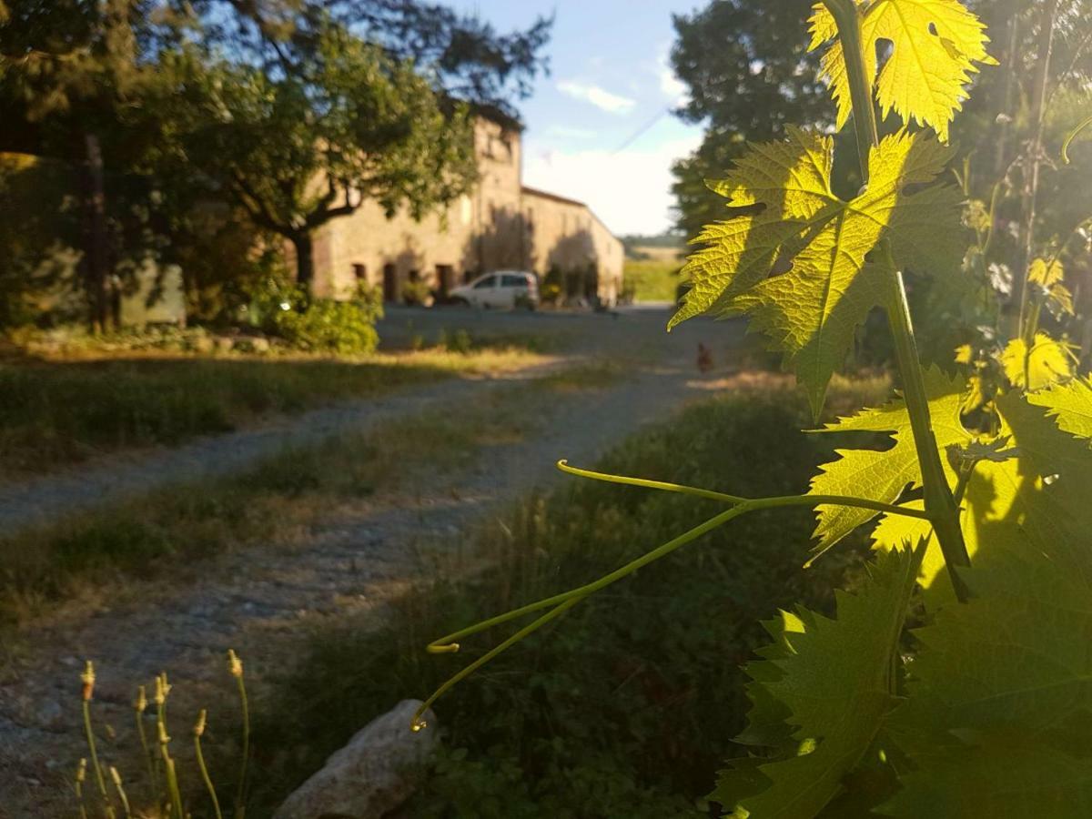 Agriturismo Podere Molino Peccioli Extérieur photo