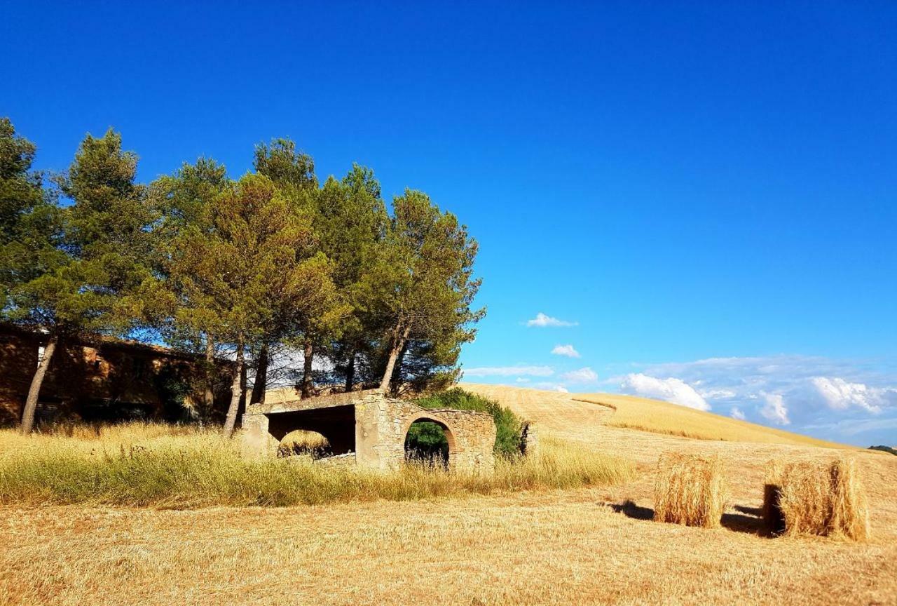 Agriturismo Podere Molino Peccioli Extérieur photo