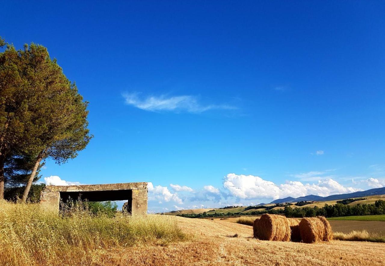 Agriturismo Podere Molino Peccioli Extérieur photo