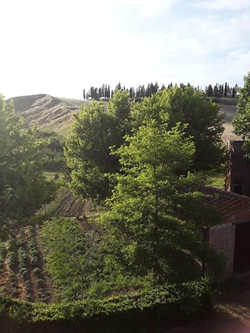 Agriturismo Podere Molino Peccioli Extérieur photo
