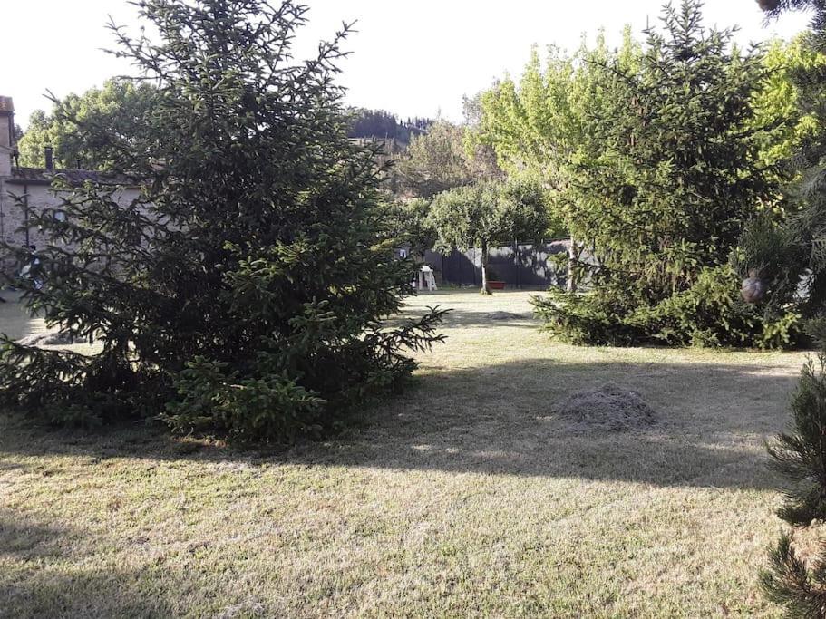 Agriturismo Podere Molino Peccioli Extérieur photo